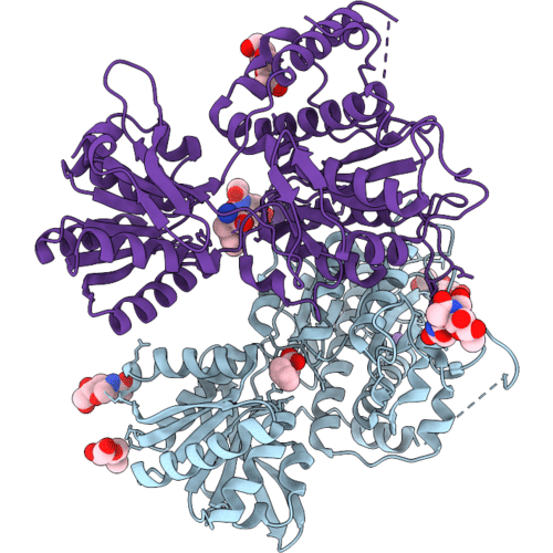9XPL image