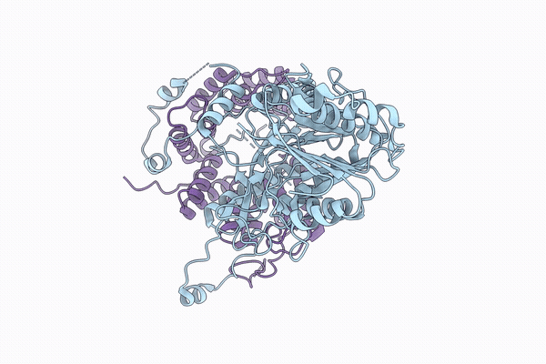 9XQM image