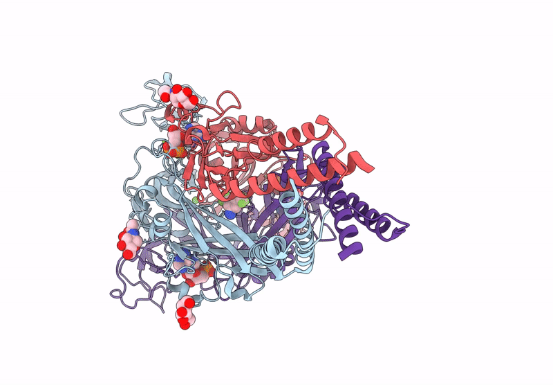 9XQR image