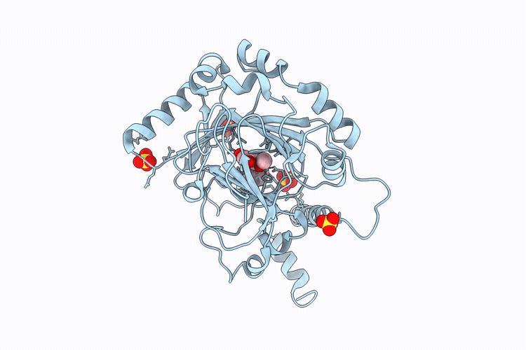 9XS3 image
