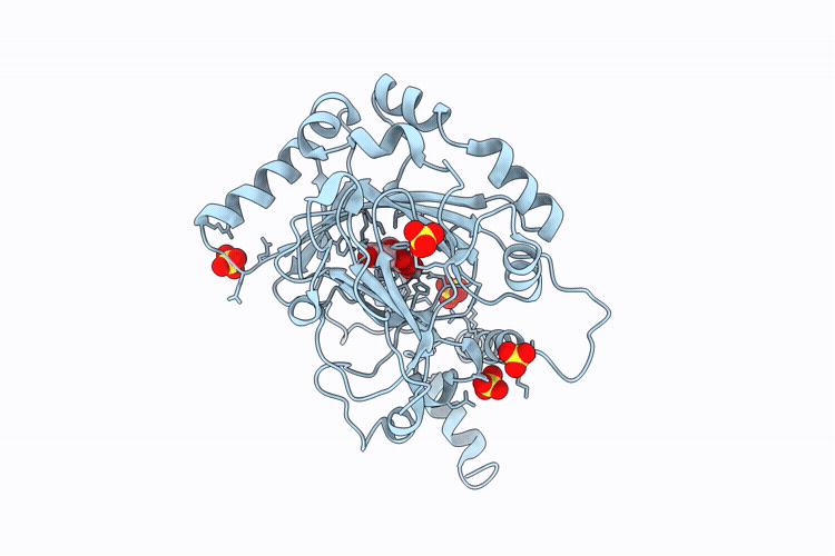 9XS5 image