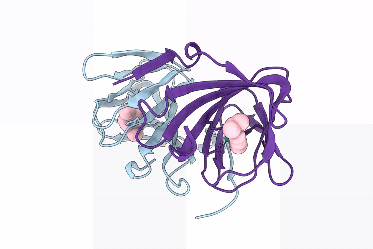 9XSA image
