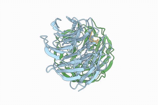 9XTL image