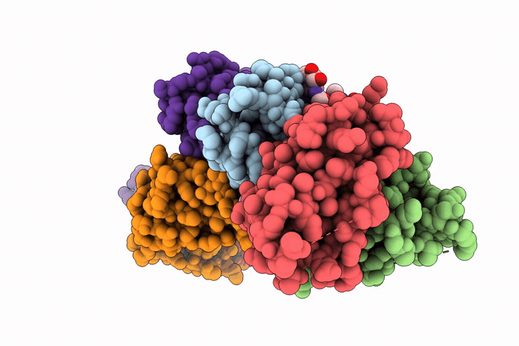 9XTU image