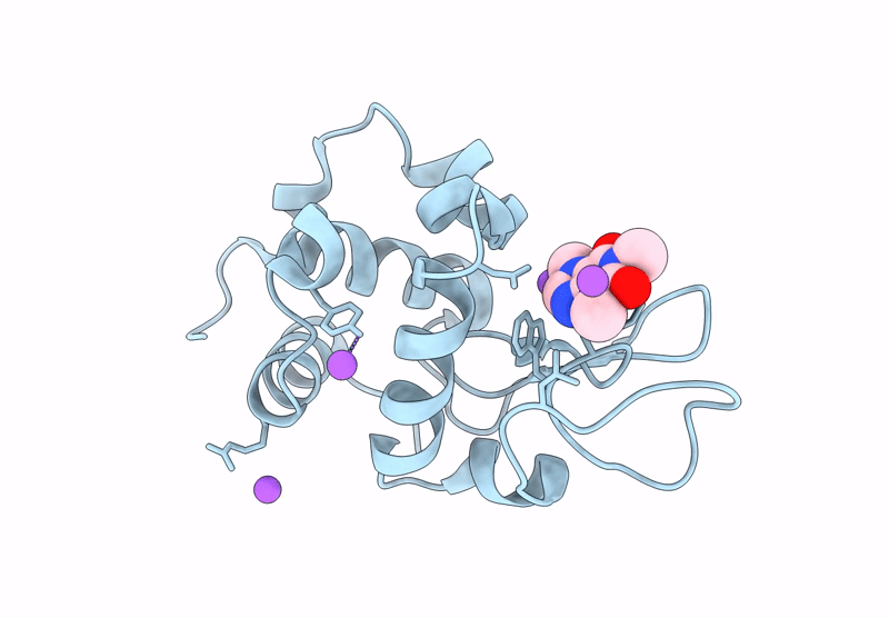 9XUA image