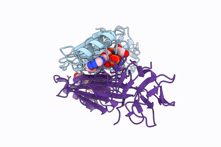 9XUP image