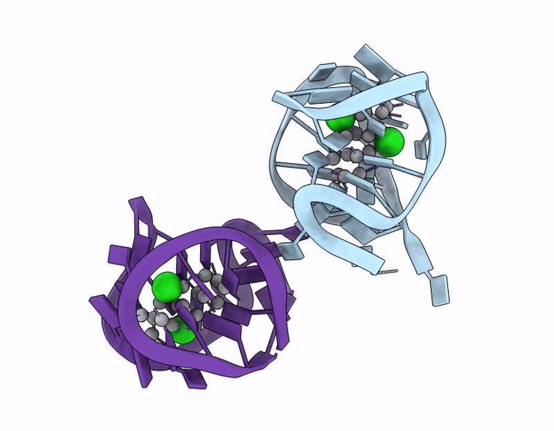 9XVA image