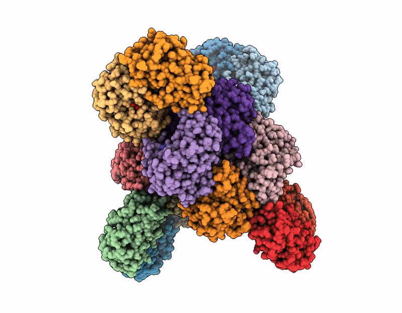9XVC image