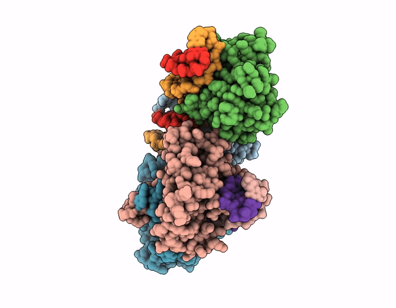 9XVD image