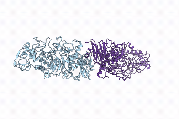 9XVE image