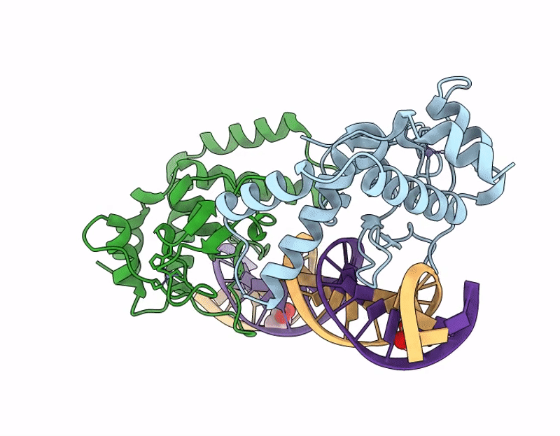 9XVO image