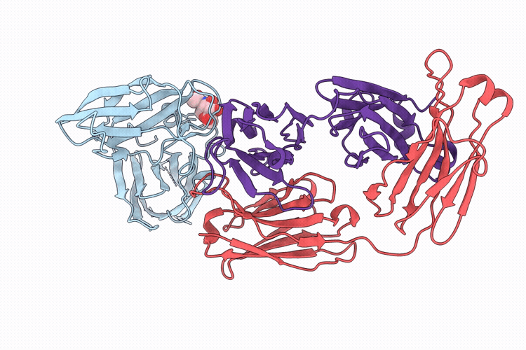 9XYB image