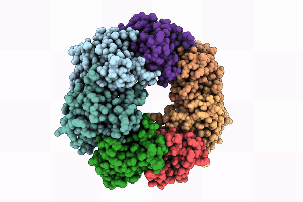 9XYJ image