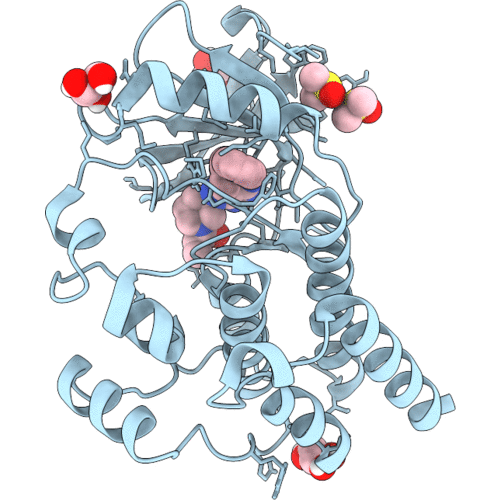 9XYV image