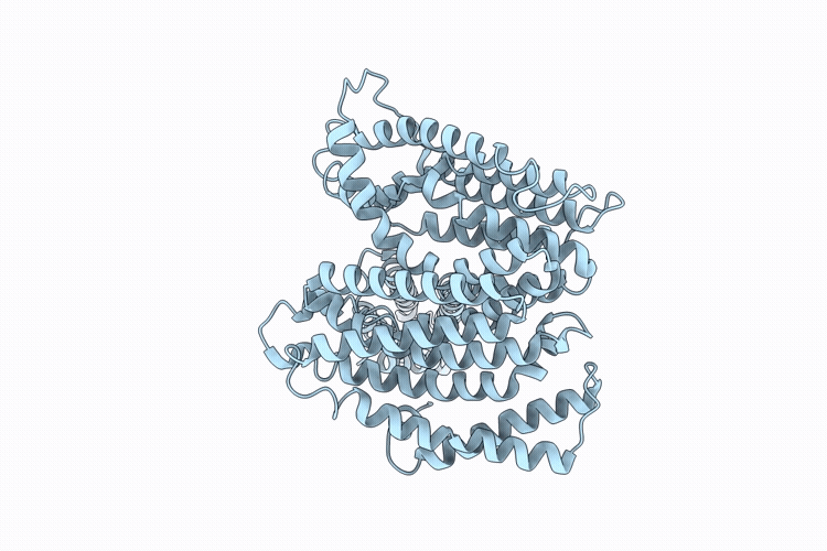 9XZN image