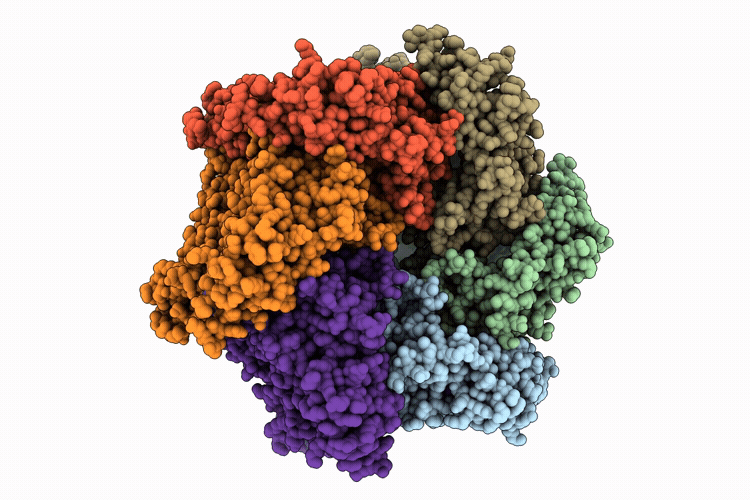 9Y03 image