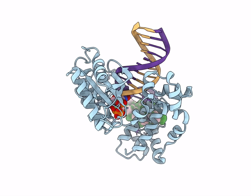 9Y1B image