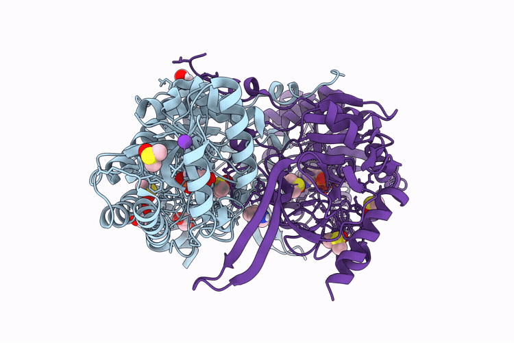 9Y1P image