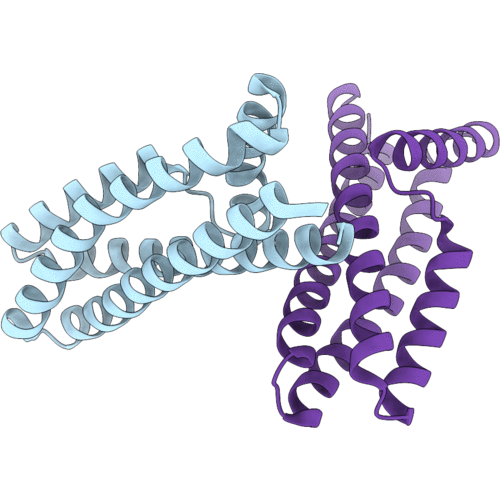 9Y1S image