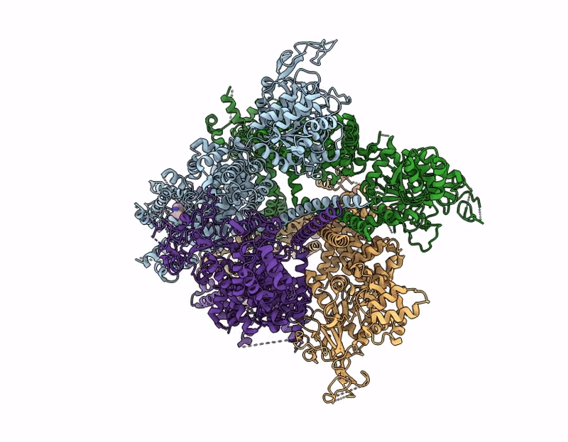 9Y2B image