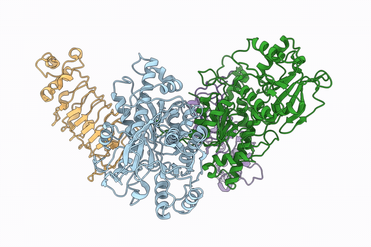 9Y2F image