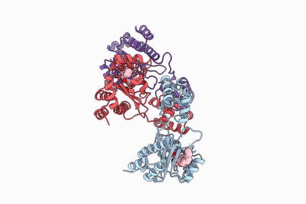 9Y2H image