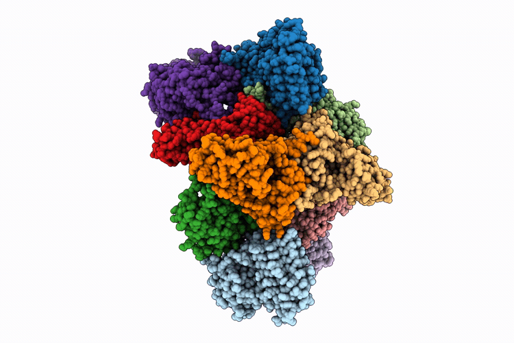 9Y3P image
