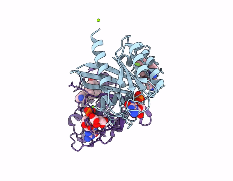 9Y3W image