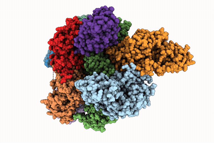 9Y4B image