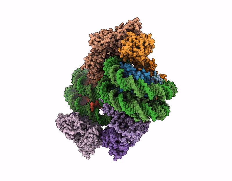 9Y4P image