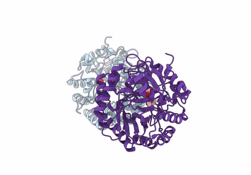 9Y4V image