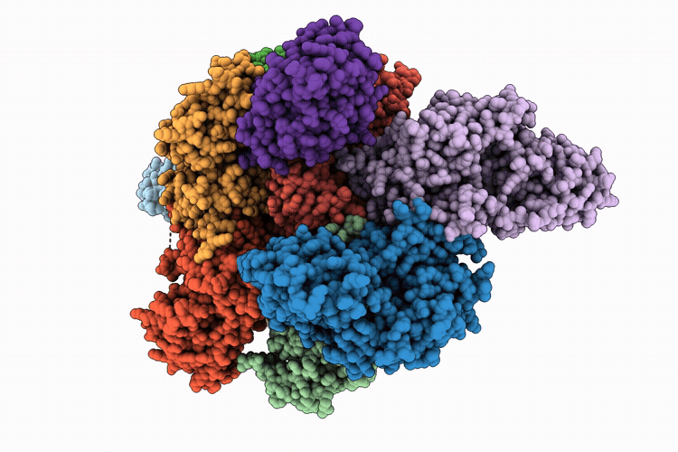 9Y4W image