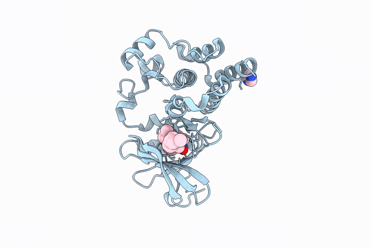 9Y56 image
