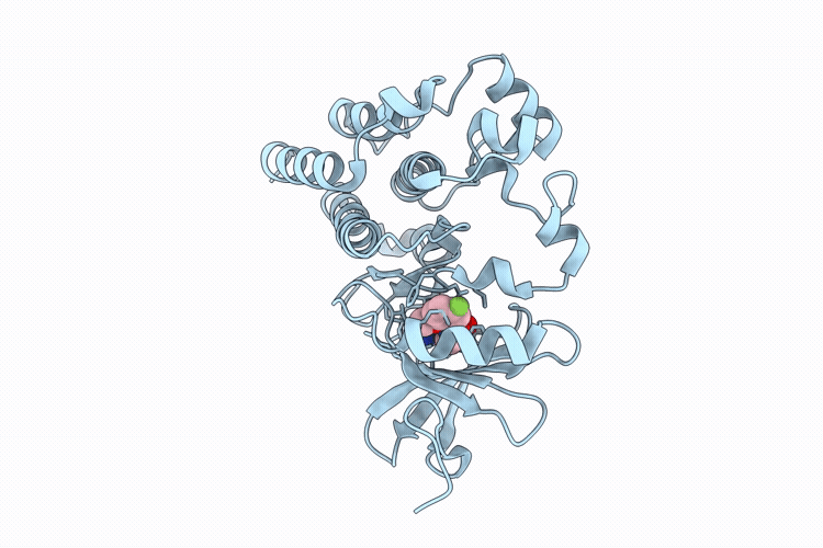 9Y5B image