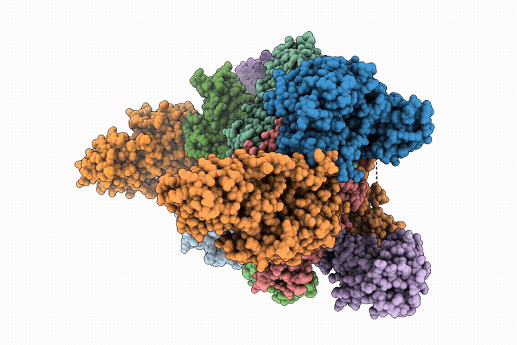 9Y5R image