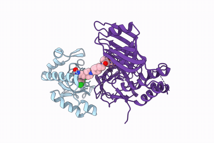 9Y61 image