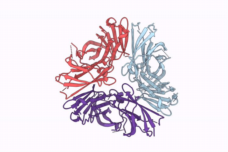 9Y63 image