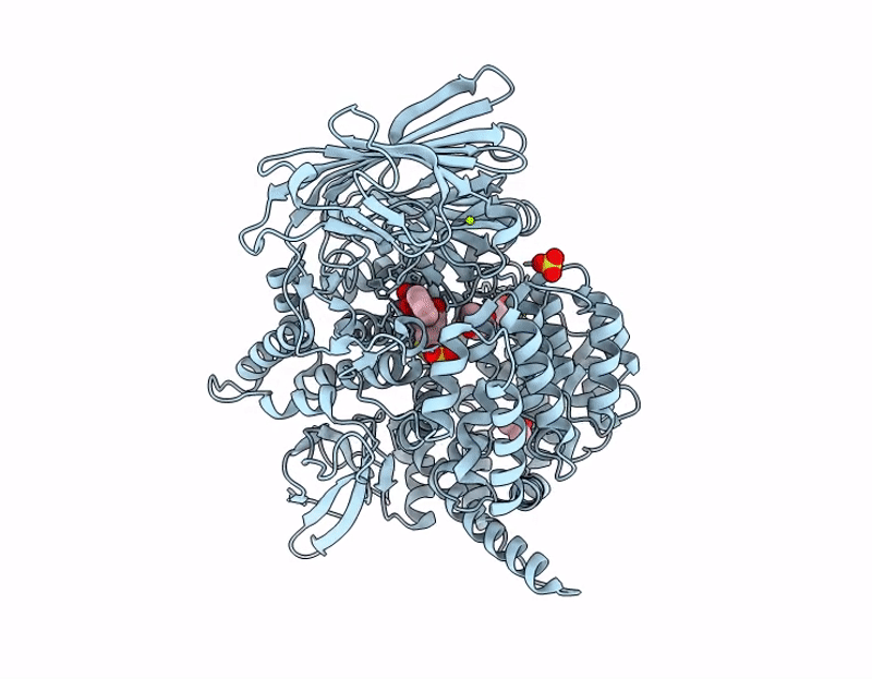 9Y65 image