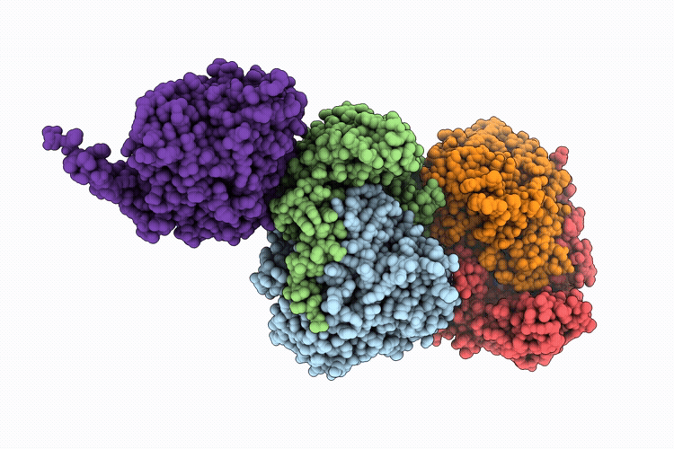 9Y6B image