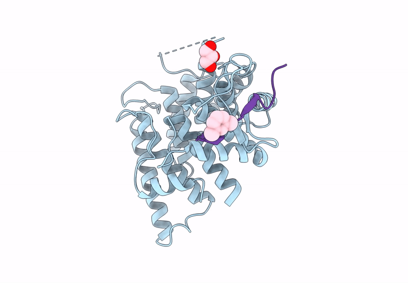 9Y6C image