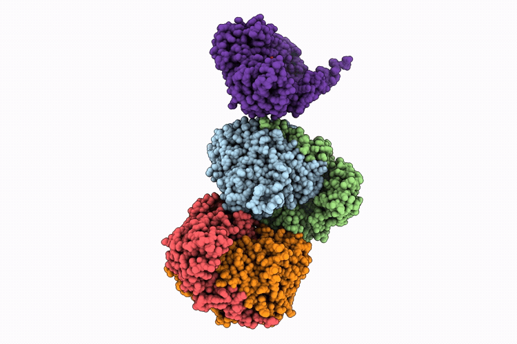 9Y6D image