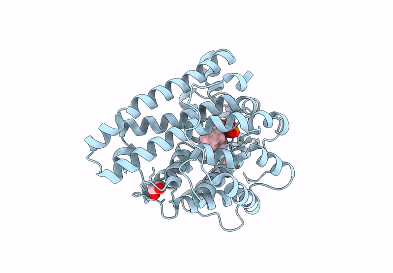 9Y6M image