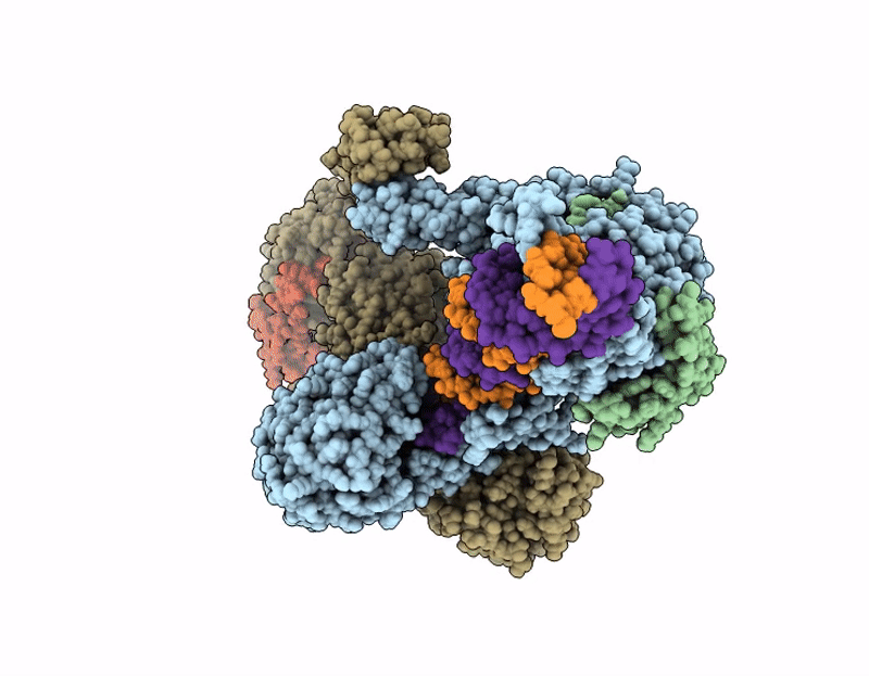 9Y6V image