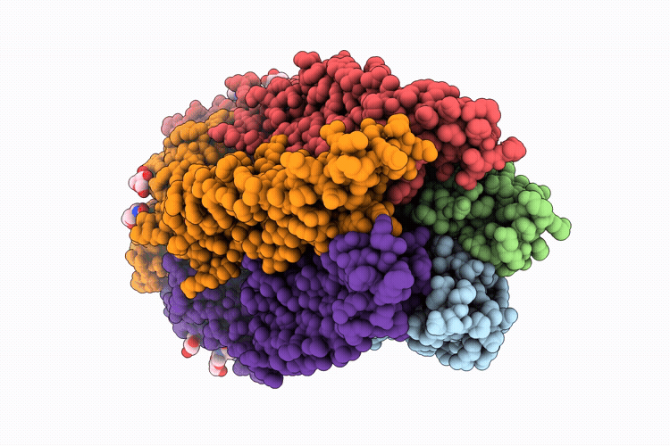 9Y7W image