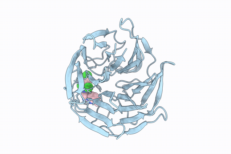 9Y8K image