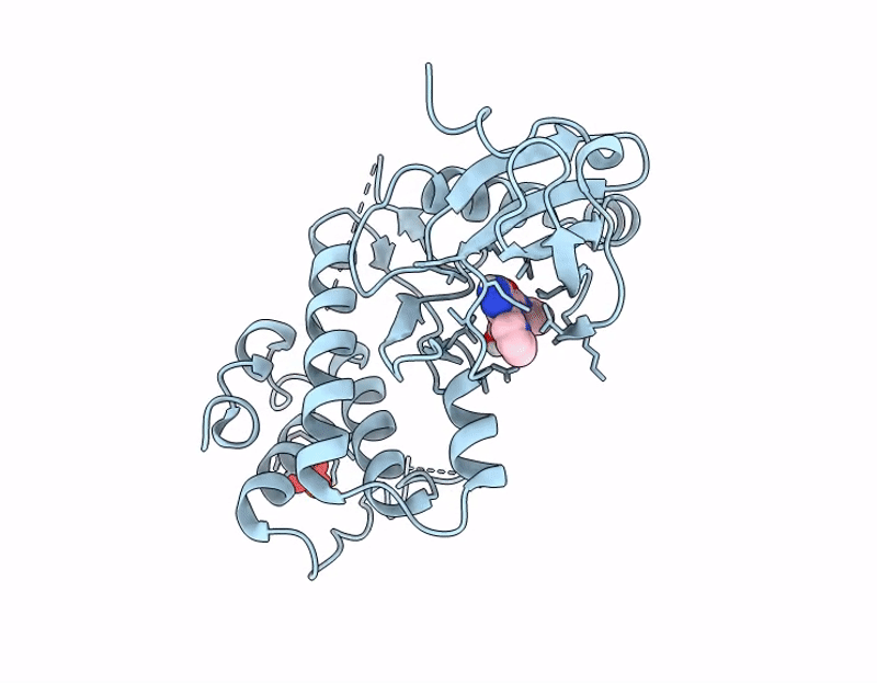 9Y9B image