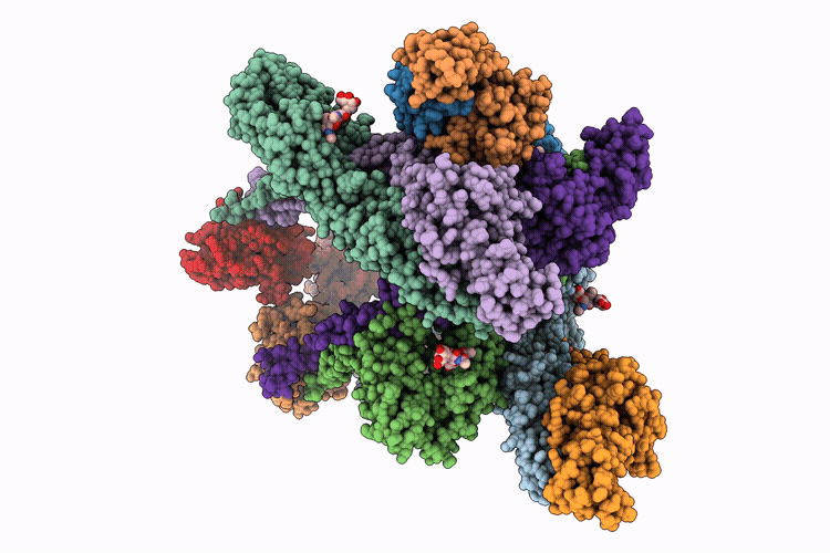 9YB1 image