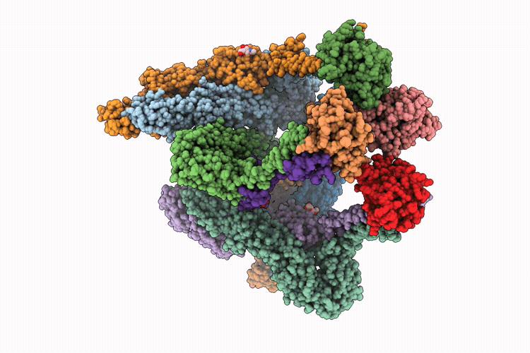 9YB4 image