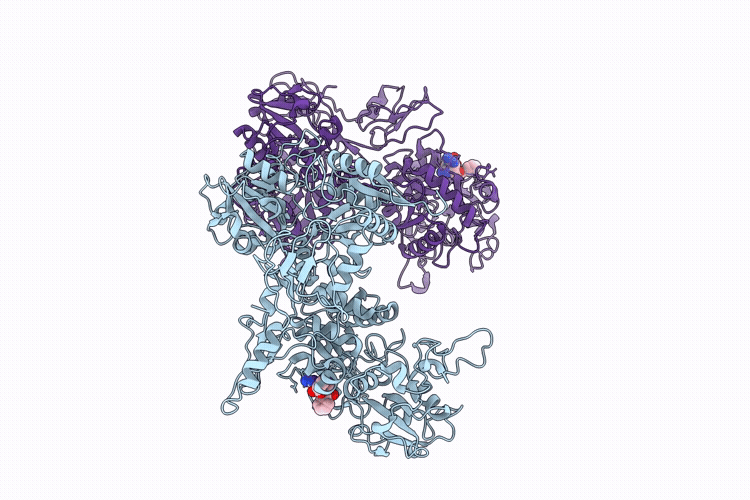 9YBD image