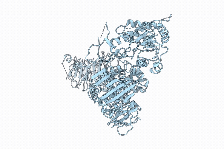 9YBP image